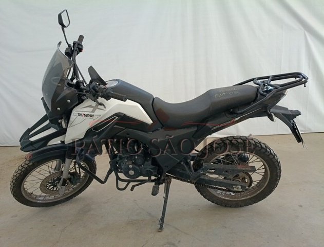 SHINERAY - SHI 175 2025