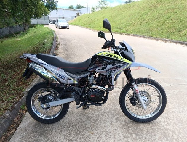 BASHAM - BULL BM-T 180 2025